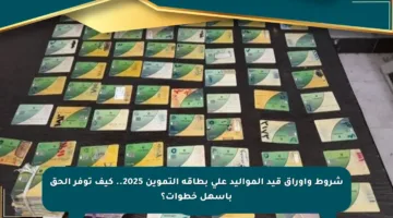 شروط وأوراق قيد المواليد على بطاقة التموين 2025.. كيف توفر الحق بأسهل خطوات؟